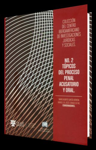 TÓPICOS DEL PROCESO PENAL ACUSATORIO Y ..